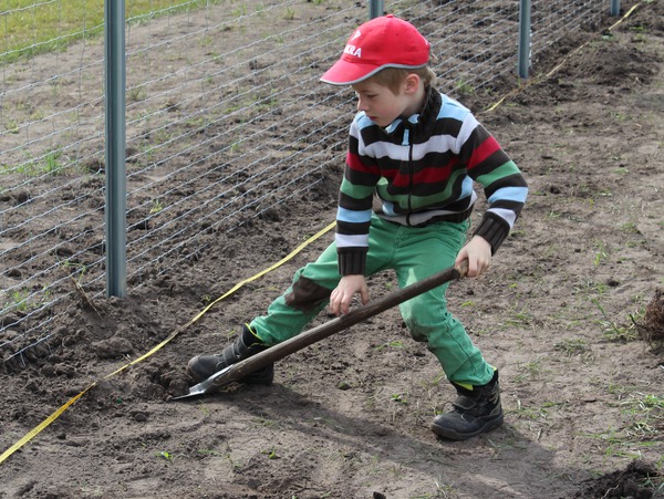 Artikelbild
