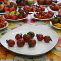 Gourmettomate Rosella (Solanum lycopersicum)