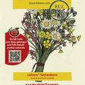 Naturbndel Bio-Wildblumenmischung fr Romantiker
