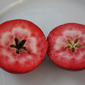 Rotfleischiger Apfel Redlove Circe
