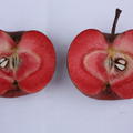Rotfleischiger Apfel Redlove Calypso
