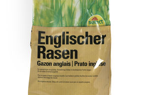 Englischer Rasen