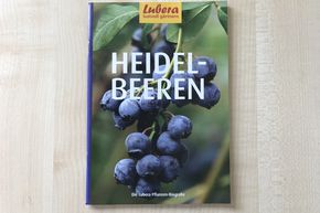 Lubera Pflanzen-Biografie 'Heidelbeeren'
