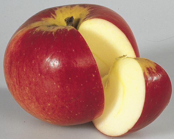 Apfel Paradis Werdenberg (syn. Idylla)