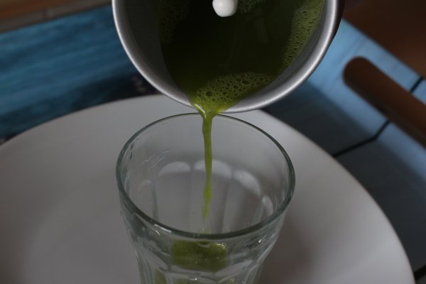Matcha-Tee Zubereitung, Camellia sinensis Grntee, Matcha Tee Pulver aufgebrht mit dem Milchschumer