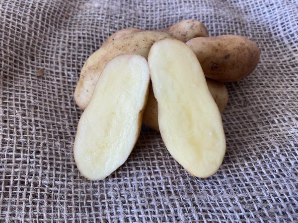Saatkartoffel La Ratte, aufgeschnitten