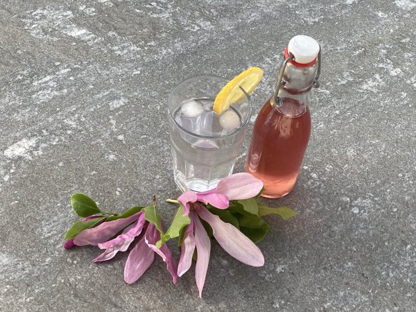Magnolienblten Sirup, Rezept, Pascale Treichler, Magnolia, Lubera