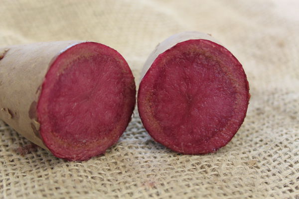 Kartoffel rote Emmalie