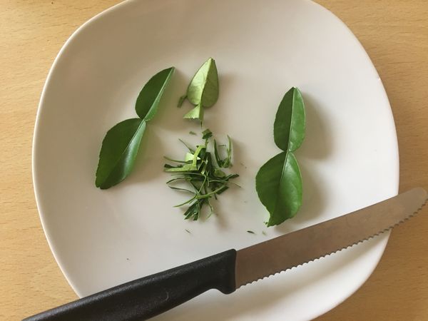 Kaffirlimette Blätter geschnitten lubera