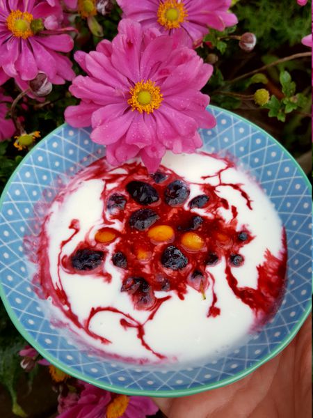 Erstbeeren Ranka Tessin Lubera