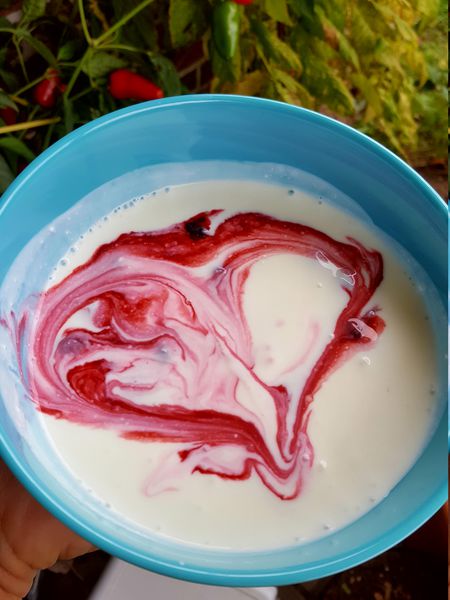Erstbeeren Kefir Ranka Tessin Lubera