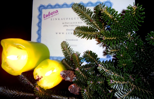 Gartendeal Lubera Weihnachtskation Gutscheine