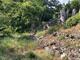 #1: Obstbume Tessin 1000 M..M.