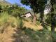 #3: Obstbume Tessin 1000 M..M.
