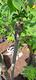 #1: Versuch Vermehrung
