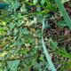 #2: Durchmesser