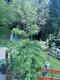 #1: Birnbaum