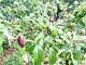 #2: Was ist los bei meinem Aofelbumchen?