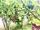 #3: Was ist los bei meinem Aofelbumchen?