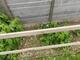 #1: Nhrstoffbedarf und Giemenge