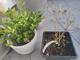#1: Was hat sie?