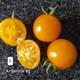 #1: Amberone