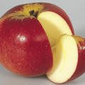 Apfel Paradis Werdenberg® (syn. Idylla)
