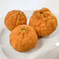 Sanford curators, Sanford curafora, Citrus, Zitrus, Frucht (korr)