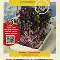 Keimsprossen Microgreens Radieschen 'Scarlet Champion'