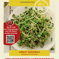 Keimsprossen Microgreens Rettich 'Mino Early'