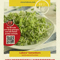 Keimsprossen Microgreens Rucola