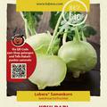 Kohlrabi 'Delikatess Witte'