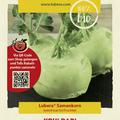 Kohlrabi 'Superschmelz'