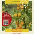 Tomaten 'Gelbe Johannisbeere'