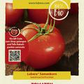 Tomaten 'Moneymaker'