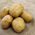 Kartoffel Vitabella gewaschen
