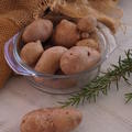 Kartoffel Revoluzzer 'Bravera', Solanum tuberosum