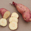 Ssskartoffeln, Sugaroot Ssskartoffel, Sugaroots Chestnut