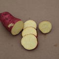 Süsskartoffel Sugaroot® 'Yellow', Ipomea batatas