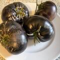 Tomate, Heirloom-Tomate 'Black Beauty', Solanum lycopersicum 'Black Beauty'