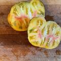 Tomate, Heirloom-Tomate 'Lucid Gem', Solanum lycopersicum 'Lucid Gem'