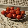 Tomaten Samen OpenSky 'Schlingel Max', Solanum lycopersicum