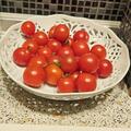 Tomaten Samen OpenSky 'Schlingel Moritz', Solanum lycopersicum