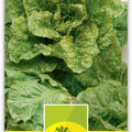 Lattich-Bindesalat 'De Morges' - Rmersalat