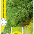 Dill, einjhrig Saatplatte