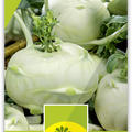 Kohlrabi 'Lanro' frh BIO VK