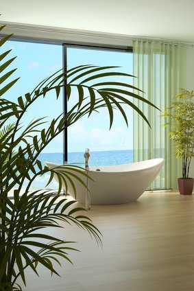 Badezimmer Pflanzen - Tipps