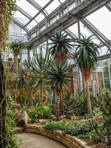 Botanische Garten Berlin