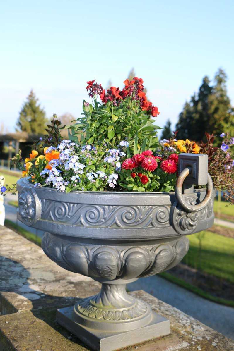 Beim Blumenkübel Bepflanzen größere Gewächse in die Mitte setzen