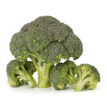 Brokkoli - Anbau, Pflanzen, Pflege & Ernte | Billiger Montag